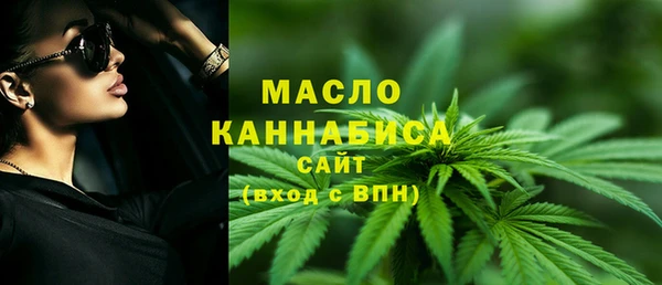 сатива Каменка