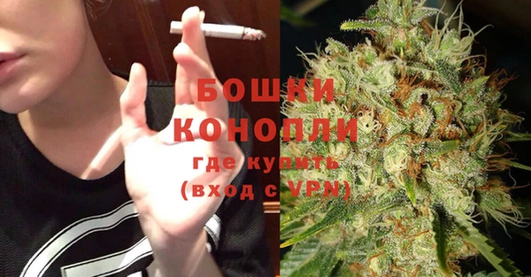 бошки Каменногорск