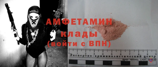 сатива Каменка