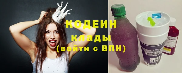 сатива Каменка