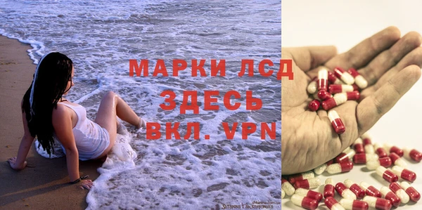 бошки Каменногорск