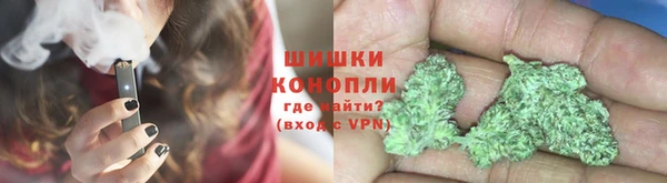 сатива Каменка
