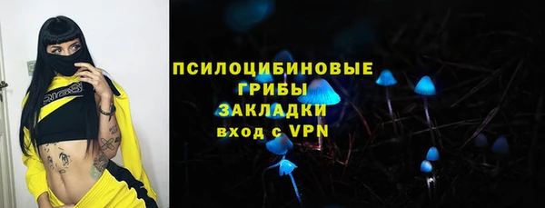 гашик Каменск-Шахтинский