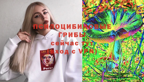 бошки Каменногорск