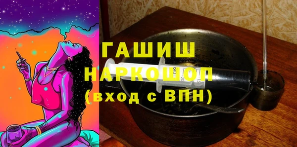 сатива Каменка