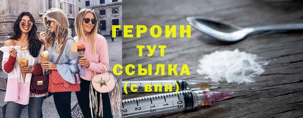 сатива Каменка