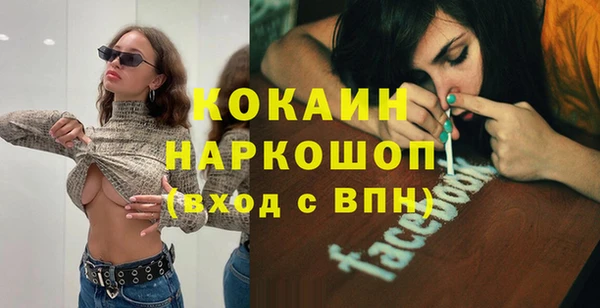 сатива Каменка