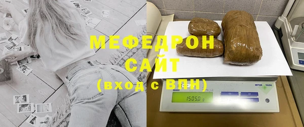 сатива Каменка