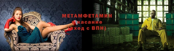 сатива Каменка