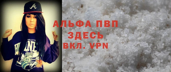 сатива Каменка